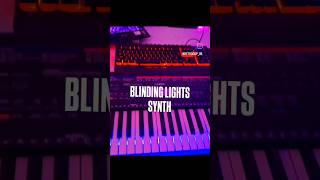 Blinding Lights Synth #theweeknd #blindinglights #theweekndsong #blindinglightstheweeknd #synthwave