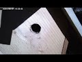 孵化11日目 🐣×9 延長撮影 シジュウカラの巣箱 巣穴カメラ 野鳥 2024 06 01 bird nest box live camera