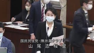 衆議院 2020年11月18日 外務委員会 #10 山尾志桜里（国民民主党・無所属クラブ）