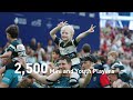 hk7s 2024 sevens by numbers