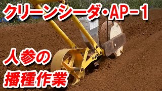 播種機「クリーンシーダ AP-1」　人参の種まき作業の様子