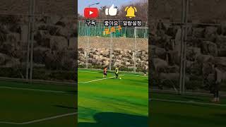 끝날 때까지 끝난 게 아니다 #shorts #nevergiveup #goals