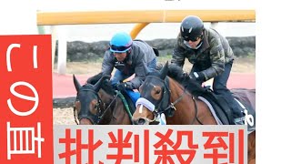 日経新春杯】３連勝中のヴェローチェエラは７枠１３番　菊花賞４着のショウナンラプンタは７枠１４番　枠順確定1/17(金) 10:31配信