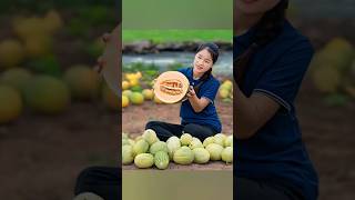 Harvesting Juicy Melons Goes to Market to Sell #harvest #bushcraft #fruits