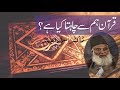 Quran Hum Say Kya Chahta Ha ? (Quran ki Dawat) By Dr. Israr Ahmad