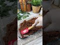 حلى مامولا او حلى تشيز التمر . explore اكسبلور طبخات طبخ وصفات_سهله recipe وصفات اكلات حلى