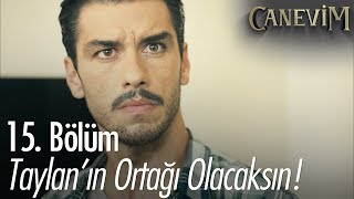 Taylan'ın ortağı olacaksın! - Canevim 15. Bölüm