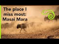 Lockdown reflections: Where I would rather be - Masai Mara