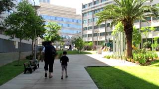 Healing Garden Dedicated at the Dana-Dwek Children’s Hospital in Tel Aviv