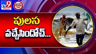 గోదావరి వరదలో పులస సందడి - TV9