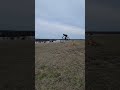 Shelby Farms 🔥 MTB Hopper Jump Session! Luis got a little nose heavy in the highest setting!!!