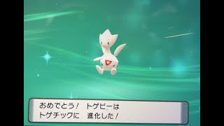 孵化厳選しながら雑談【ポケモンBDSP】