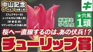 チューリップ賞 2023 【予想/穴馬】待ってろリバティアイランド！桜の舞台で一直線する穴馬とは！？