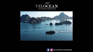 VELOCEAN diving in KOMODO National Park 2021