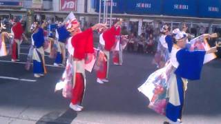 鳴子艶舞会　よさこい東海道2011 オープニング演舞