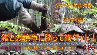 #26 年金月3万円 山を切り開いて自給自足のスローライフ My self-sufficient slow life in the woods with $200 monthly pension