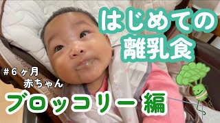 【６ヶ月赤ちゃん】はじめての離乳食ブロッコリー編-The first time Broccoli! -