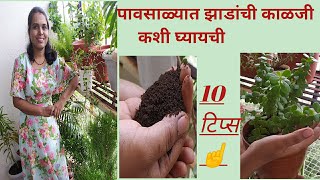 पावसाळ्यात झाडांची काळजी कशी घ्यायची / Plant care in Rainy season🌱