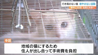 避妊去勢、猫にとって幸せは…　野良猫の過剰繁殖を防ぐ「保護団体」の活動に密着