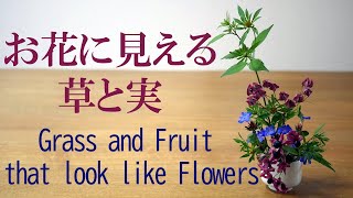 【生け花】花に見える草と実【ikebana】臭木/アメリカセンダングサ/ひっつき虫/grass and fruit that look like flowers/看起來像花的草和水果/猪口/小さな剣山