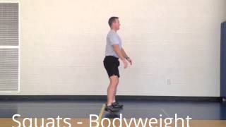 StewSmith Fitness Library:  Squats (bodyweight)