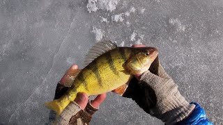 Lake Winnebago Ice Fishing (Pre-fishing Battle on Bago 2025)