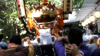 SANY0161_2012/8/26 中野神明氷川神社例大祭_宮出し準備