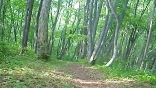 （MTB）白岩森林公園下り（階段ルート）