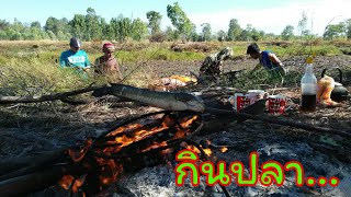 บรรยากาศกินข้าวป่า นอนนาสูบหนองปลา อยู่ทุ่งนาอีสานบ้านเฮา