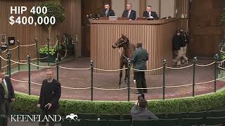 Hip 400 sells for $450,000 at Keeneland January