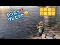 グレ好調♪色々釣れてる南芦屋浜♪fishingmax芦屋店