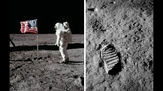 Facts That Will Make You Question Reality