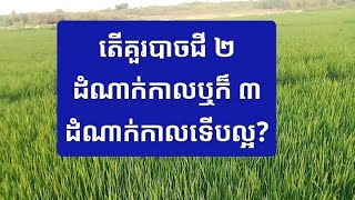 EP258 គួរបាចជី 2 ដំណាក់កាល ឬក៏ 3 ដំណាក់កាលទើមល្អ ? [ @linchengruy8006 ] @Motivationoflife-pf8up ]