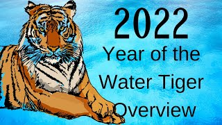 2022 Water Tiger – Explosive Energy of Rebellion and Freedom