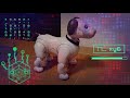 物思いにふけるaibo🤖 aibo communicating with skynet lol 【アイボ】