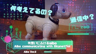 物思いにふけるaibo🤖 - Aibo communicating with Skynet?lol 【アイボ】