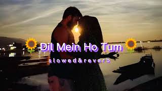 Dil Mein Ho Tum || Lofi Music | [Slowed & Reverb]