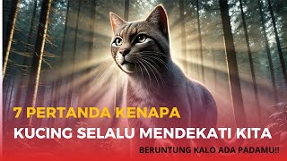 MasyaAlah, Ternyata Ini 7 Tanda Kenapa Kucing Selalu Mendekat kita | Bikin Merinding ‼️