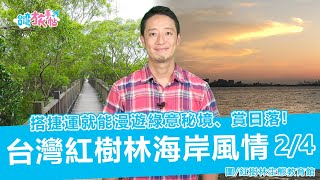 『台灣旅手帖』淡水紅樹林生態步道~ 搭捷運就能輕鬆漫遊綠意秘境和賞日落! (主持:佐藤仁/大久保麻梨子) 台湾のマングローブ海岸の風景-2