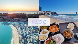 [EP. 19] 부산 여행 VLOG (둘째 날) | (해운대 일출, 해운대 해수욕장, 부산 엑스 더 스카이, 부경대학교 학식투어)