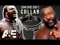 WWE's Most Wanted Treasures: Junkyard Dog's Legendary Collar | A&E