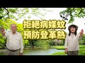 登革熱防治三部曲 居家防蚊篇