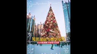 【Life in US】美國匹茲堡最美聖誕市集來囉! 太浪漫了吧! 聖誕樹下可以溜冰? Pittsburgh Christmas Market @ Market Square