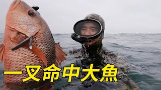 A Feng encountered a big fish approaching, and hit the big fish with a fork!