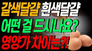 [1분 톡톡] 갈색달걀 흰색달걀 어떤 걸 드시나요? 영양가 차이는 있을까요? 이건 꼭 알고 드세요!!