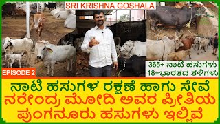 ಮೋದಿ ಅವರ ನೆಚ್ಚಿನ ಪುಂಗನೂರು ಹಸು ಇದೆ | Punganuru Miniature Cows | 365 ನಾಟಿ ಹಸುಗಳು 18 ಭಾರತದ ತಳಿಗಳು