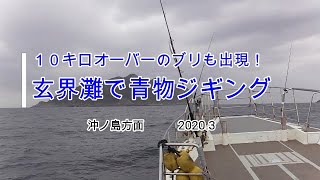 玄界灘でヒラマサ、ブリの青物ジギング　(沖ノ島)