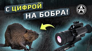 Охота на бобра с ночным цифровым прицелом Arkon Digital D940 (L).