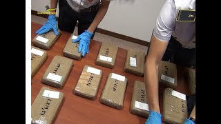 Operazione Doppio Gioco: Arrestati per aver portato 700 kg di droga in 3 anni nelle Marche