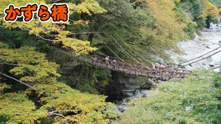 徳島県三好市道の駅大歩危からか祖谷のかずら橋までドライブ